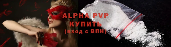 стаф Абаза