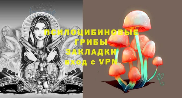 МДПВ Алзамай