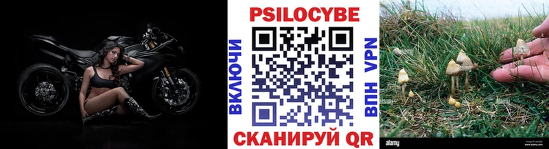 как найти наркотики  Пугачёв  Галлюциногенные грибы мухоморы 